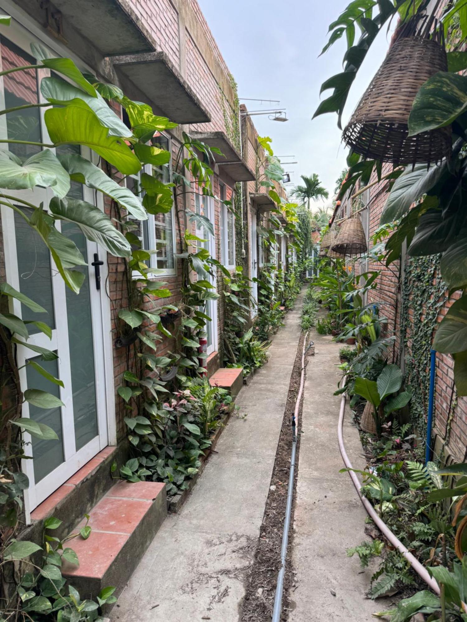 Bau Bi Mini Farmstay Mekong - Tien Giang Митхо Экстерьер фото
